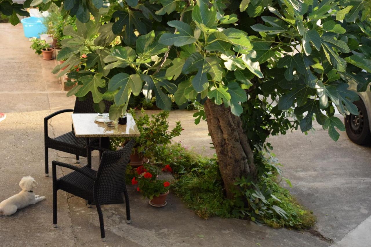 Studio Apartman Marina Vodice Buitenkant foto