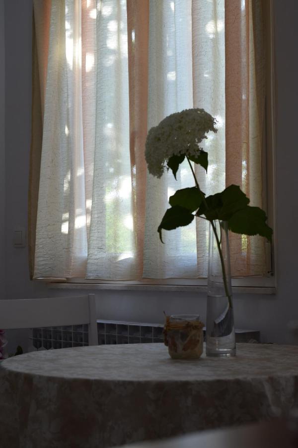 Studio Apartman Marina Vodice Buitenkant foto